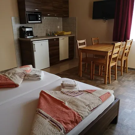 Borostyan Panzio Отель типа 
