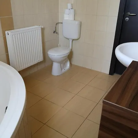 Borostyán Panzió *