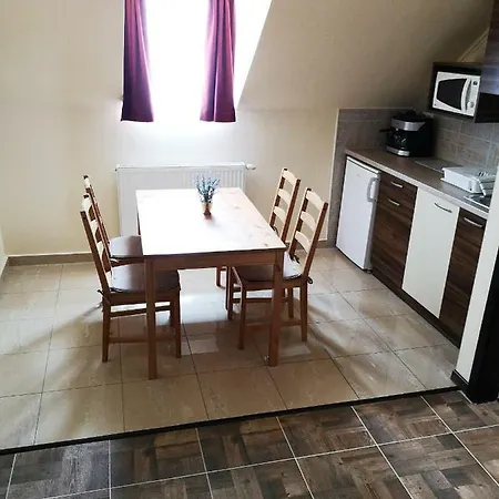 Bed and breakfast Borostyán Panzió *