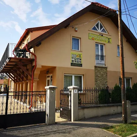 Borostyán Panzió Bed and breakfast