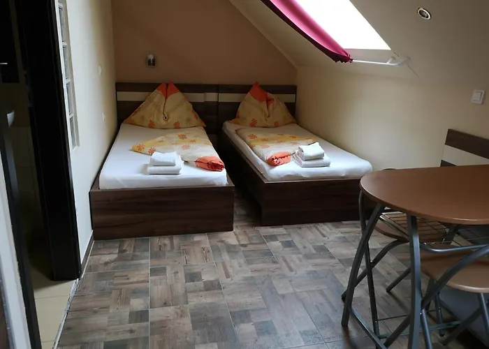 Bed & Breakfast Borostyan Panzio